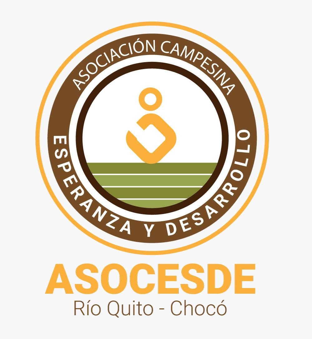 asocesde.org